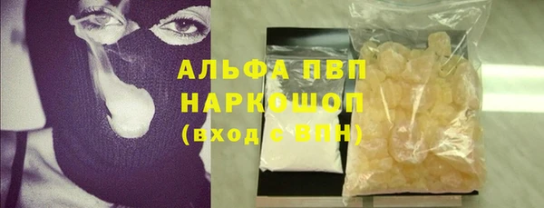 прущие грибы Слюдянка