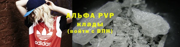 spice Снежногорск