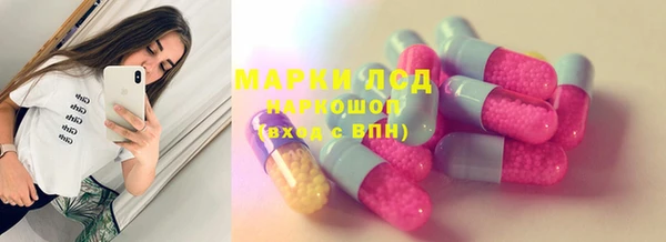 spice Снежногорск