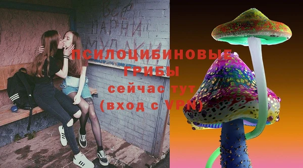 МДМА Богданович